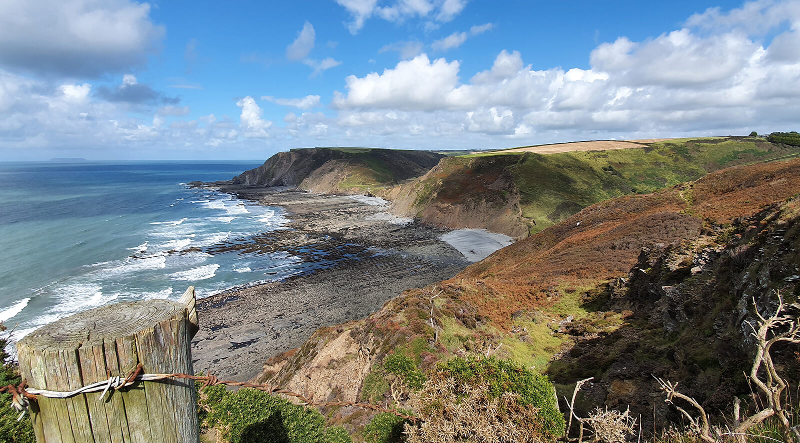 Devon Wildlife Trust