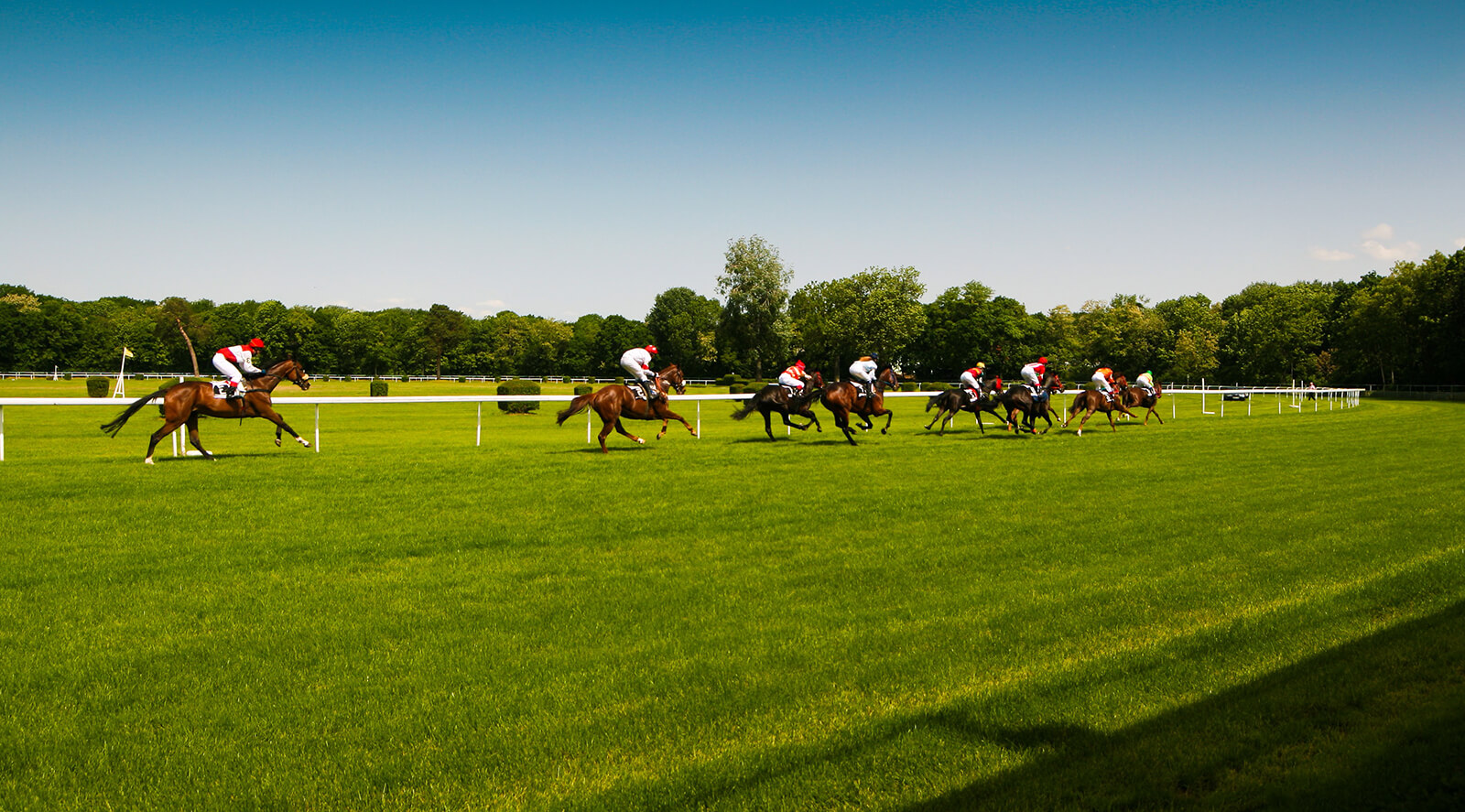 Horse Racing