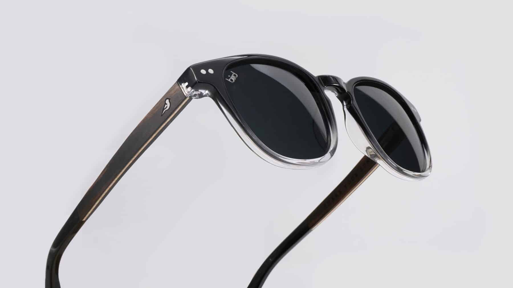 Bird Eyewear